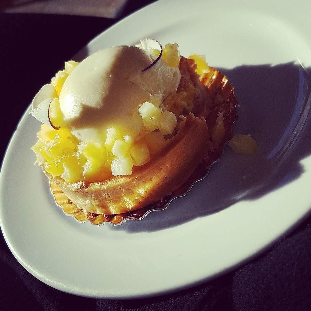 JacFatale's tweet photo. Tart in the sun... #yummy #dessertforbreakfast https://t.co/24PmCII1Lv https://t.co/nMdTbz7ZzC