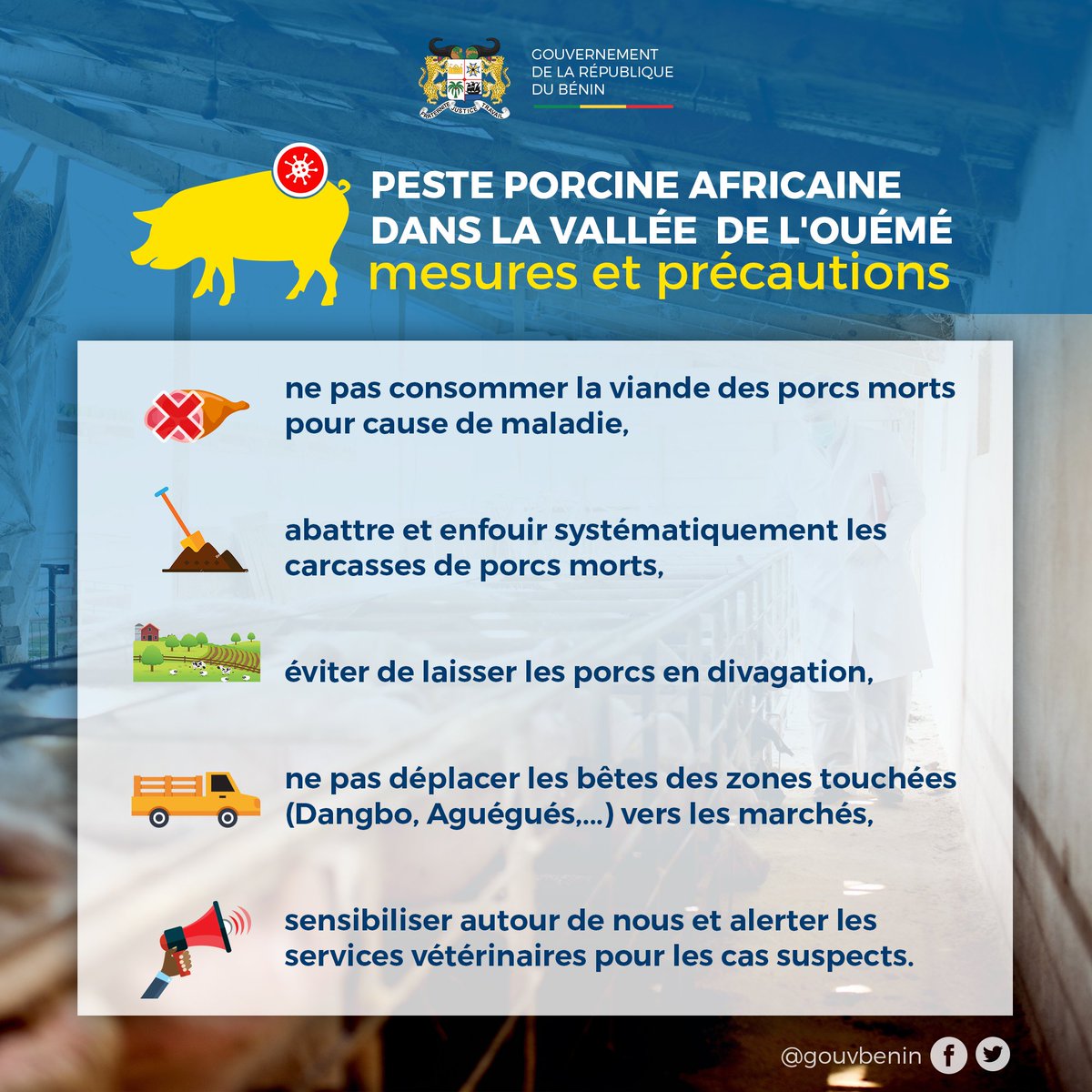 gouvbenin's tweet photo. En raison des foyers de peste porcine africaine déclarés dans les communes de Dangbo et des Aguégués, le Gouvernement du Bénin vous invite à observer ces quelques précautions afin de contribuer à circonscrire la propagation du mal. 
#wasexo #gouvbenin #SanteBenin https://t.co/6Irudv7yRW