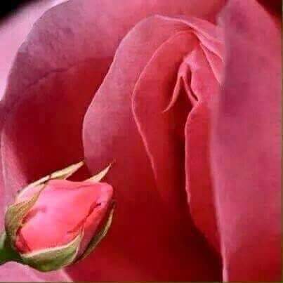 Que feliz se siente💕💕💕