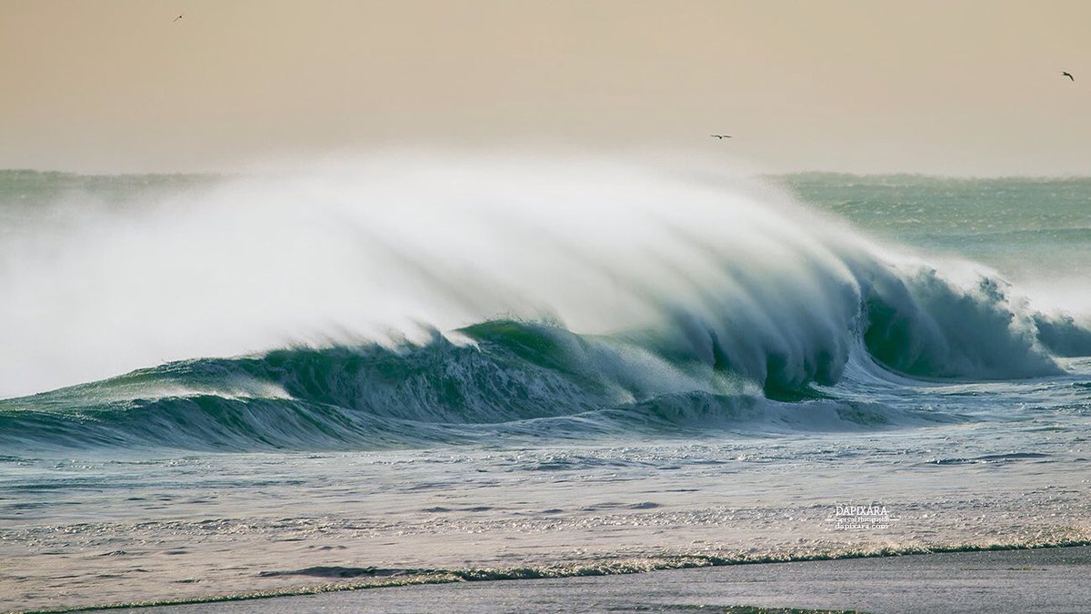 dapixara's tweet image. Look at those angry waves at Nauset beach in Orleans today. 
4 more Photos at dapixara.com/News/files/ang… #capecod #StormHour