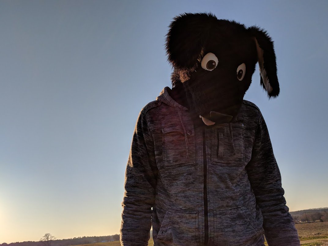OrbitDoggy's tweet photo. A quick Savanna stroll at sunset before a snack. What's for dinner, you ask? Why, it's @PronkingAround a'course!
📷:@KirronArt @coyroko 
#FursuitFriday https://t.co/XAkblfVDFR