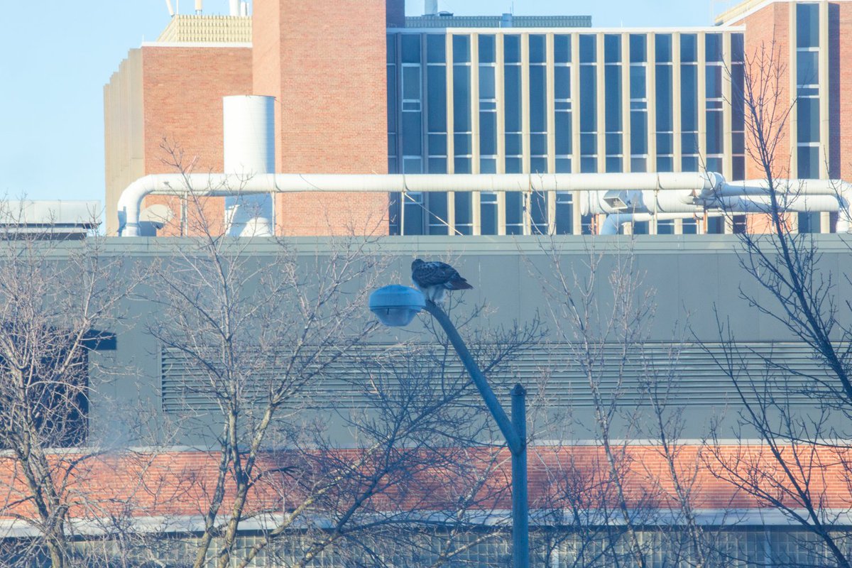 UWEnergy's tweet photo. Just another day in #UWWinter https://t.co/LyTCz2DUYw