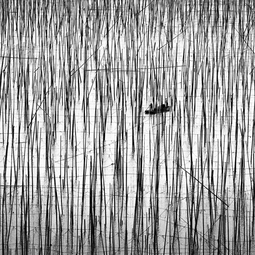 xavierdaniel999's tweet photo. Alexandre Manuel https://t.co/TWsu6UlkQJ