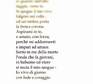 Danisetta Rocchi Dicevo Potrei Scrivere Una Preghiera Con Il Suono Dei Suoi Passi Quando Viene Nella Mia Stanza Desolata E Vi Porta Lussuriose Dolcezze Scrivero Una Preghiera Con Il Ritmo Che