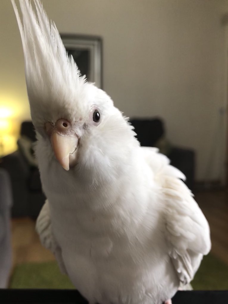 <a href="/feytastic/">Fey</a> this is sushi