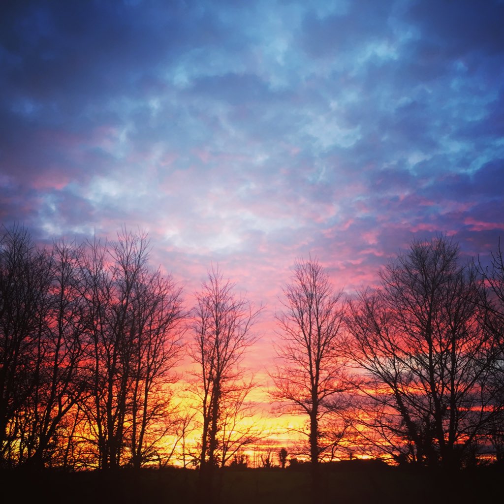 Clavid2012's tweet image. #NewProfilePic