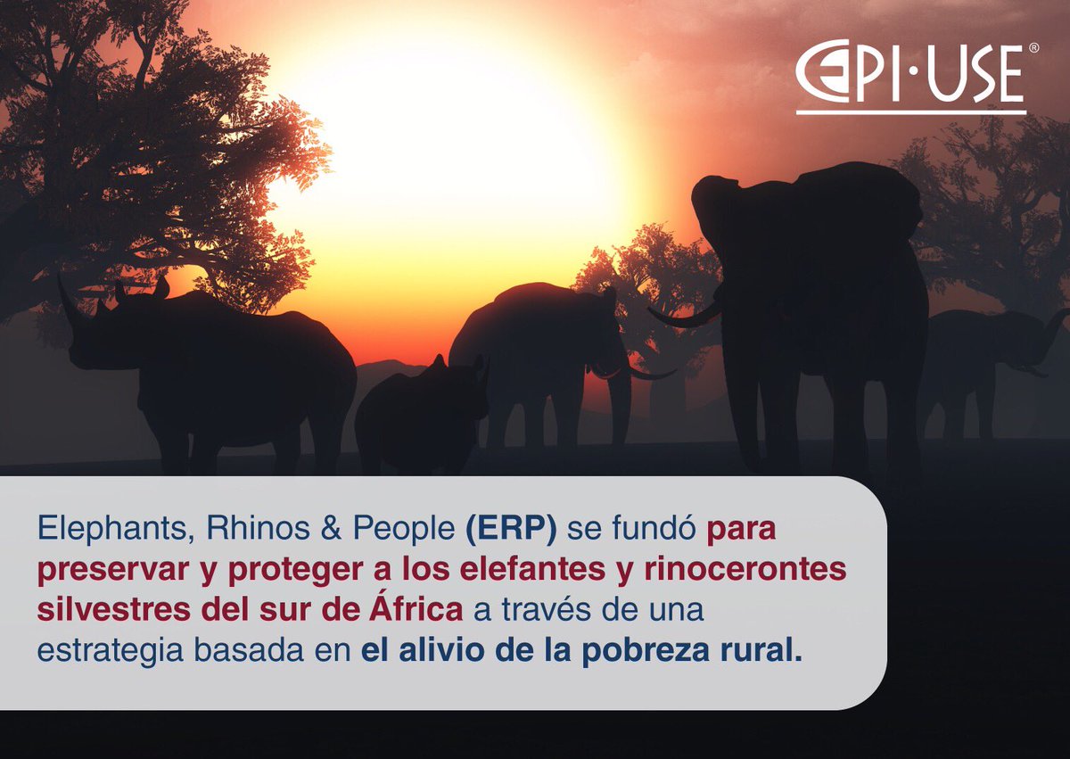 EPIUSEArgentina's tweet photo. La vida es importante para EPI-USE y https://t.co/EL8XZhZkQ6, por eso estamos unidos contra la caza furtiva y el abuso contra el ser humano.
#EPIUSE #SAP #SAPArgentina #SAPPartner #GroupElephant #Ecología #Ivory #Elephant #Elephants #MedioAmbiente #ResponsabilidadSocial https://t.co/bfJW1tfv3E