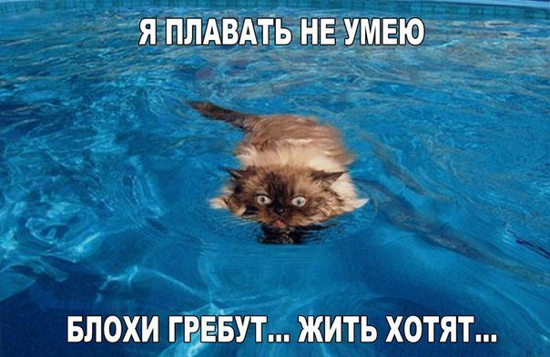 БЕЛЫЙ ЮМОР (@w_humor) on Twitter photo 