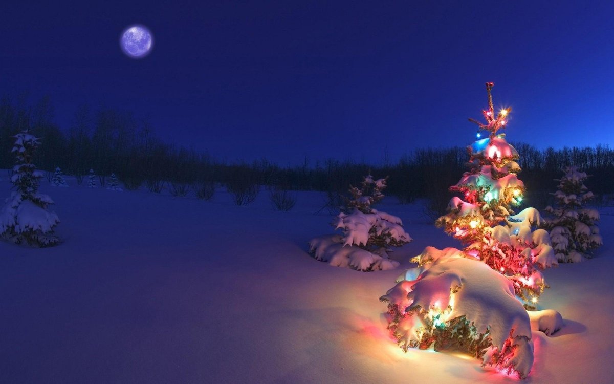 ana_luengo's tweet photo. Es la noche más mágica y maravillosa del año, hoy se cumplirán millones de sueños, no olvidemos jamás a nuestros Reyes Magos, muchos ya no están, forman parte de las estrellas pero viajan siempre en nuestro corazón, Feliz Noche de Reyes https://t.co/wPw0sZyDmv