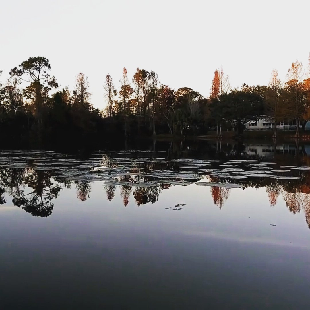 SethBFishing's tweet photo. https://t.co/JmXjM5qNIX Go check out my latest vid. Give a subscribe n like if u can. When we hit 100 subs we will be giving away an MTB box to a lucky sub. Link in the bio. #bass #uglystick #berkley #fishing #mtb #happyfishing #biospawn #senko #exostick #livetarget #topwater https://t.co/8o0wXPoflJ