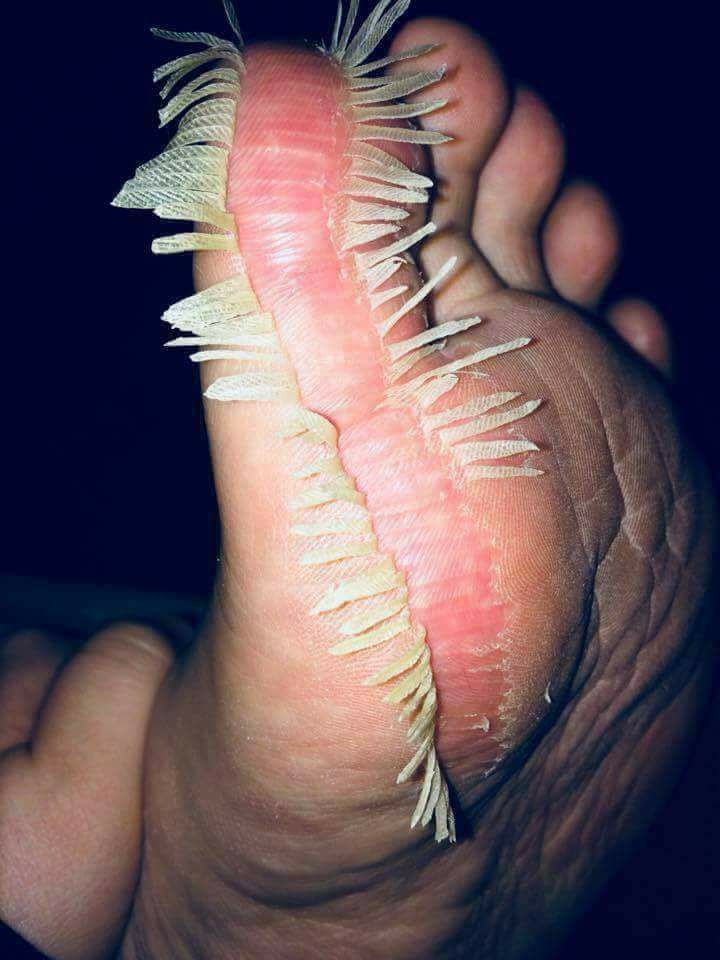 RT em 3 segundos ow lhe acontecerá 😵 !