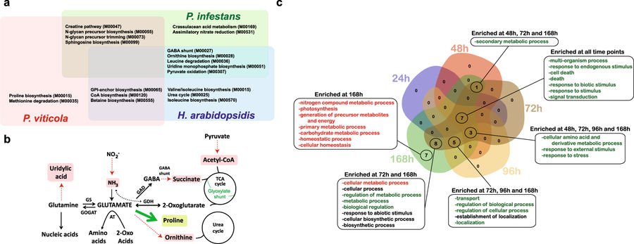 MasieroPesaresi's tweet photo. A #multi-omics study of the #grapevine-downy mildew (#Plasmopara #viticola) #pathosystem

Congratulations to our #colleague Michele Perazzolli for this great job!

https://t.co/bXPHMUsuVt https://t.co/bt1dXogRiD