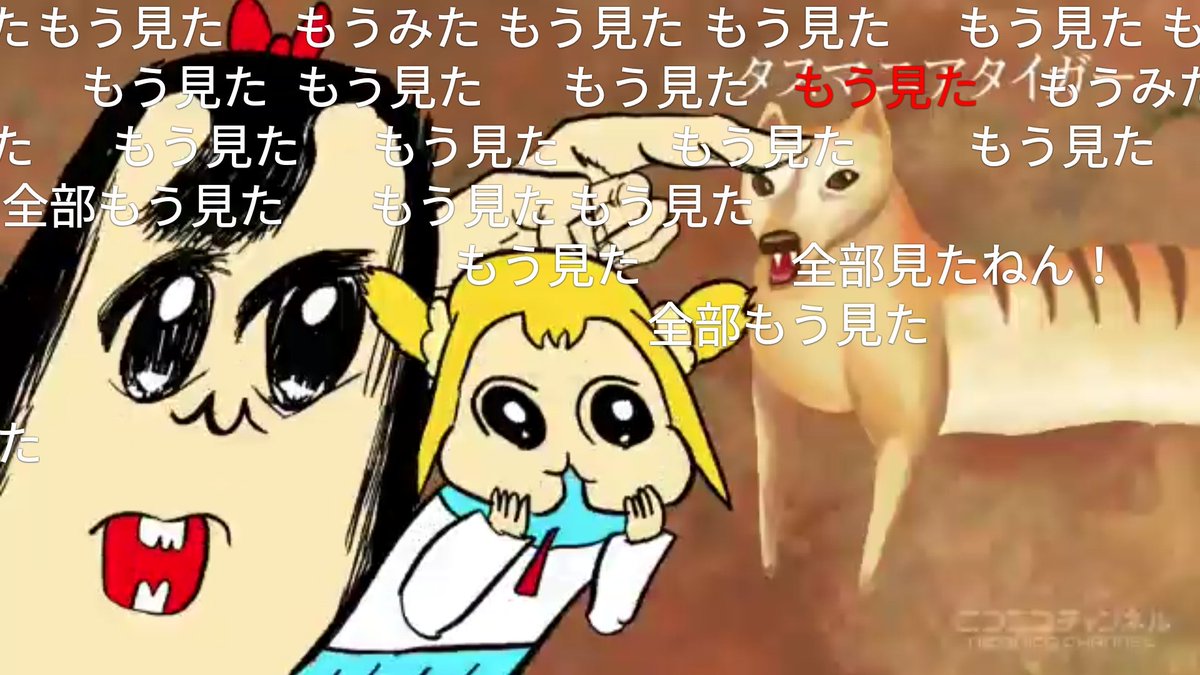 新コーナー ボブネミミッミの2話 で説明できてしまう テレビで衝撃映像やペットのおもしろムービーがかなり周回遅れになってしまう理由 Togetter 新コーナー ボブネミミッミの2話 で説明できてしまう テレビで衝撃映像やペットのおもしろムービーがかなり周回遅れになってしまう理由 Togetter