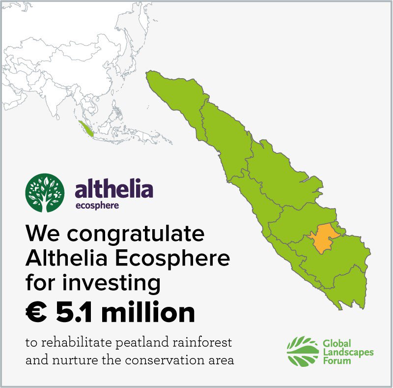 .@AltheliaEco to invest EUR 5.1 million for #peatland rainforest restoration in South Sumatra, #Indonesia. Check out their press release to find out more: ow.ly/Is0R30hSpD0  #ThinkLandscape