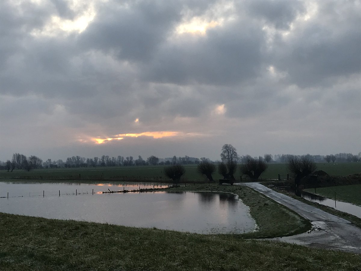 Wilsuminfo's tweet photo. Heel voorzichtig komt het zonnetje tussen de dikke wolken door. #ijzigkoud https://t.co/TiRtOEd50p