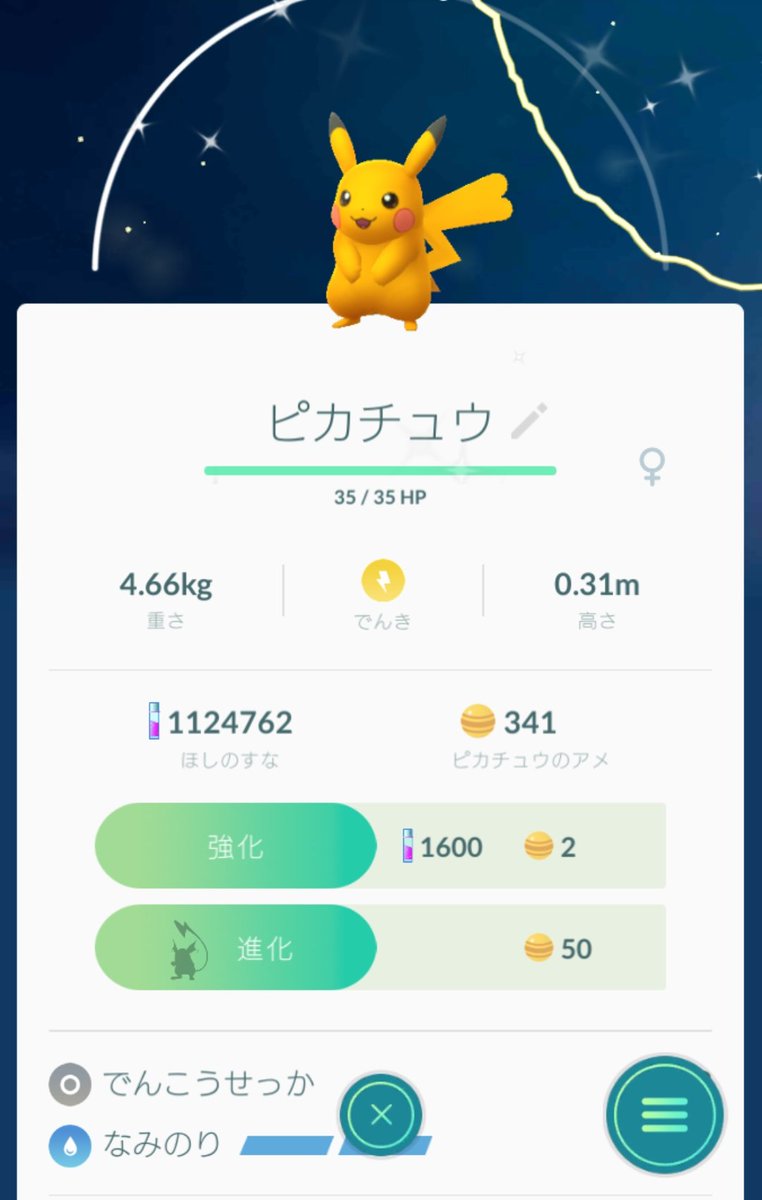 色違いなみのりピカチュウ