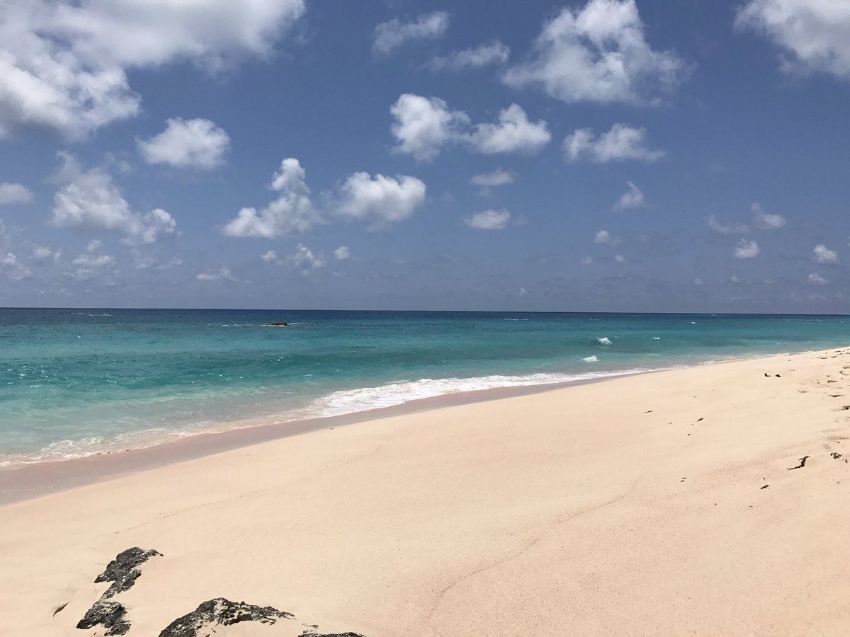 バミューダ諸島