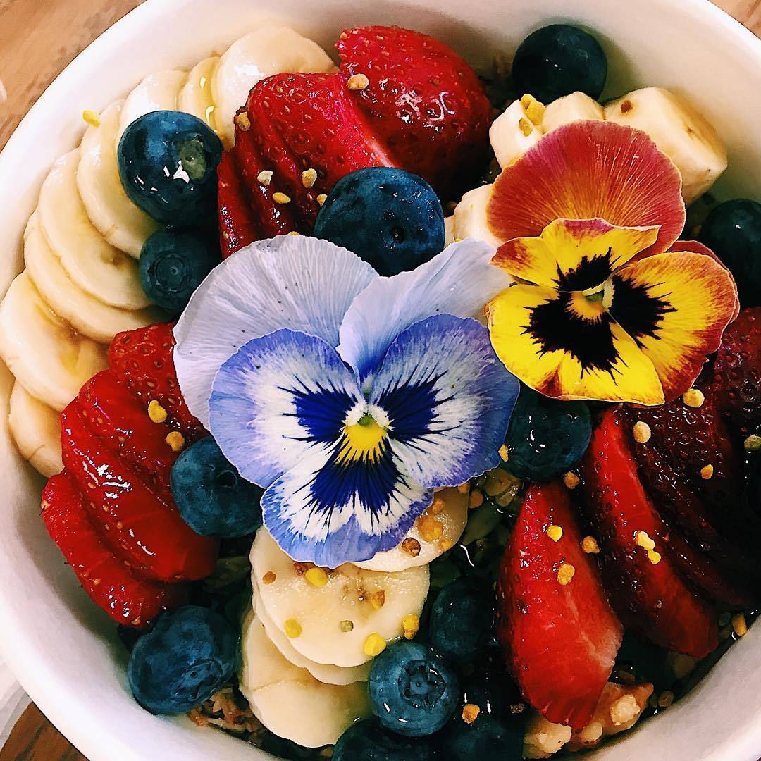 LinaBlumen's tweet photo. 😍🌺https://t.co/Y3JadnG9rN #veganfoodshare #foodporn #whatveganseat #blog #veganblog #veganrecipes #veganlunch #veganfood #Superfood #GoVegan https://t.co/T7W3jgmbE7