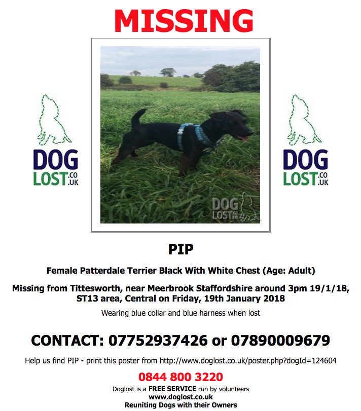 DogLostUK's tweet photo. https://t.co/tbifmQKnpA #LOST PIP
Female #PatterdaleTerrier
#Missing from #Tittesworth near #Meerbrook #Staffordshire #ST13 on Friday, 19th January 2018 #Losrdog #ScanMe https://t.co/dtEFAeYF1k https://t.co/S6nOPUgM4m