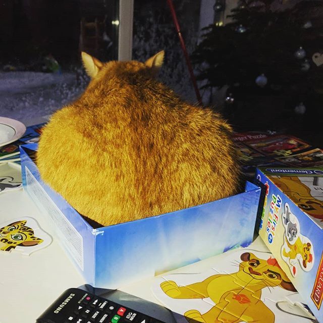 looksmartteam's tweet photo. Puzzle 3D. Król Lew :) #puzzle #lion #gingercat #imagination #creativity #3d #haveaniceday https://t.co/hcUEYNtS2q https://t.co/eamNReFTPQ