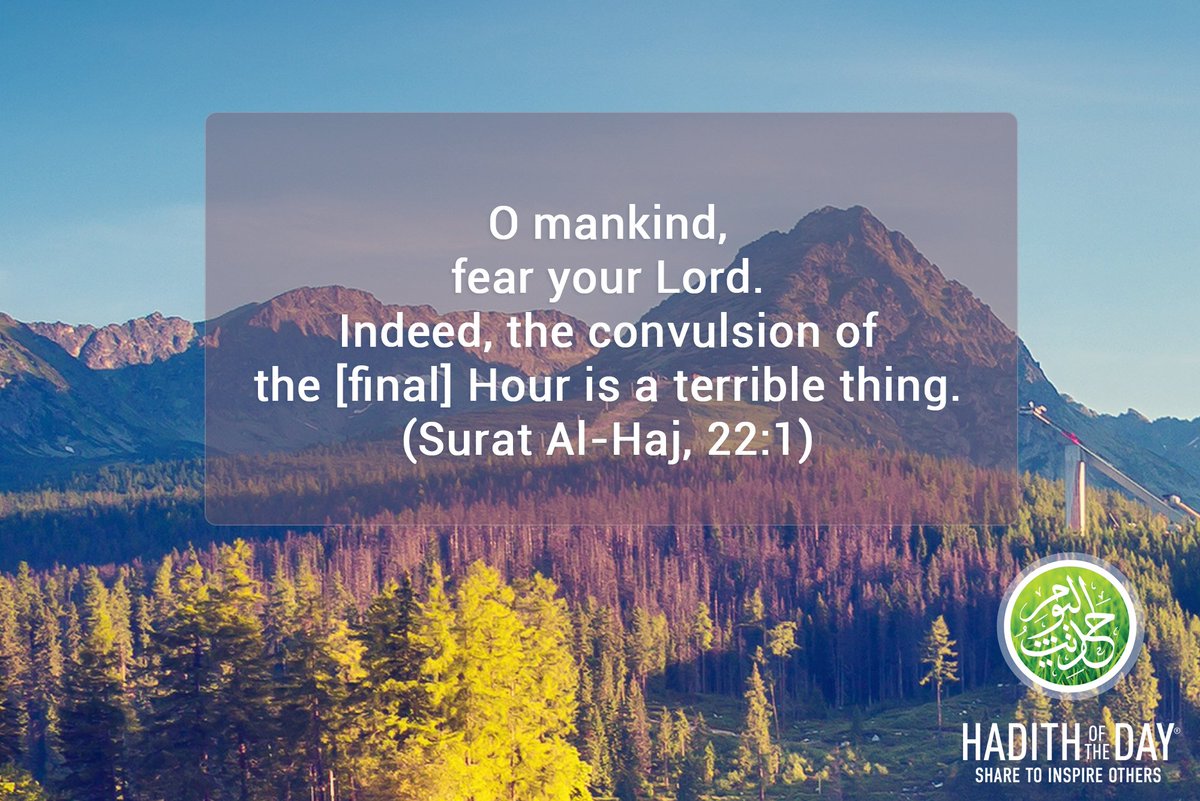 m sohail rafique (@msohail20918073) | Twitter