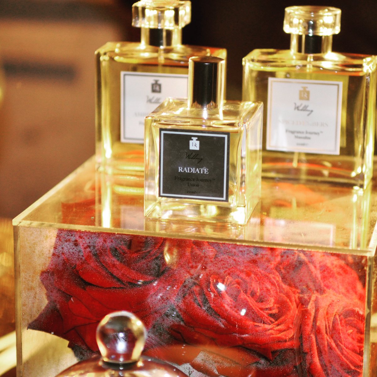 Bride_Icon's tweet image. We absolutely love @DesignInScent #wedding collection #perfumes #fragrance #Fragrances #beautyblogger #beauty #Perfume @TheWedding_Club