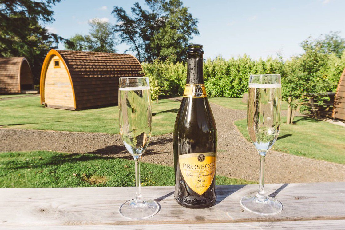 “There is no Wi-fi in the forest, but I promise you will find a better connection.” - bit.ly/2x6zXQj #glamping #falconforest