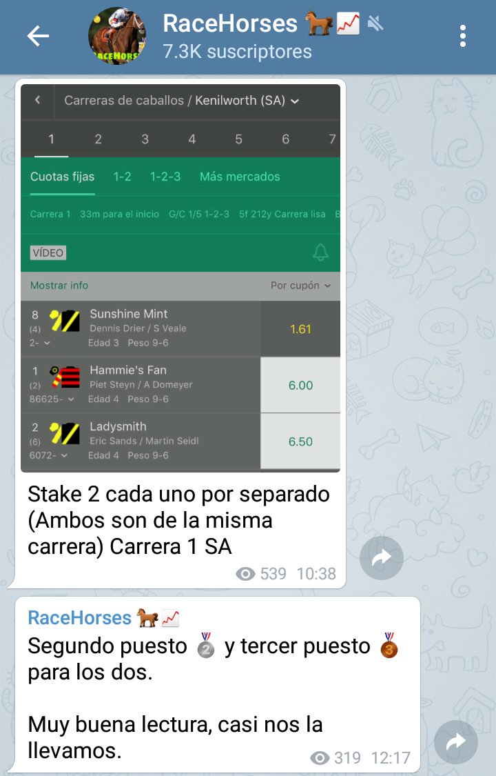 tipstafadores's tweet photo. @enzohorseracing @sherlock_picks @JNiso Esto ha sido demasiado épico. Apuesta a 2° y 3er fav, quedan segundo y tercero y es "muy buena lectura" https://t.co/sebHHpKRve