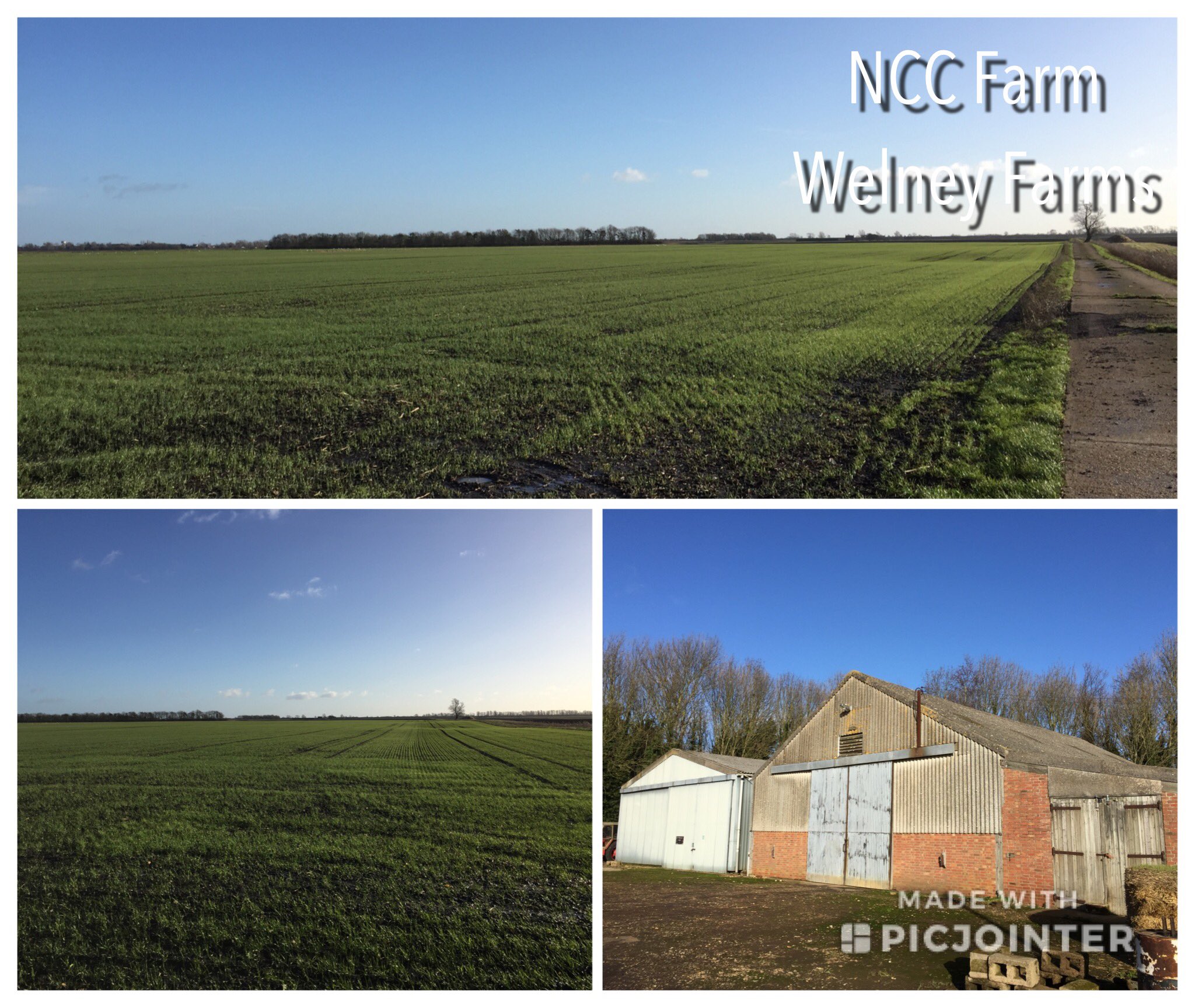A Few Acres Farm Youtube 53 - 9riperl