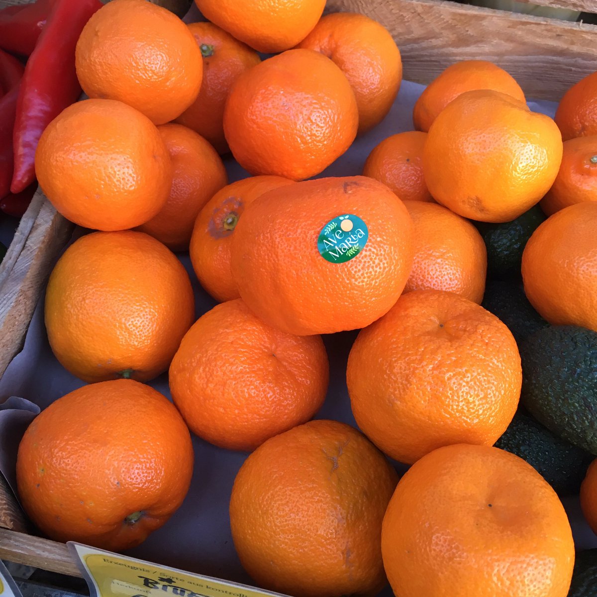 so schöne &amp; große #pomeranzen habe ich noch nie gesehen. von @farmavemaria aus spanien, die ich erst kürzl. durch brit. kolleginnen <a href="/catlilycooks/">Catherine Phipps</a> &amp; <a href="/FelicityCloake/">Felicity Cloake</a> kennengelernt habe. eben gekauft bei <a href="/ADAMAH_BioHof/">ADAMAH BioHof</a> am vorgartenmarkt. #bitterorangen #sevilleoranges #allesbio