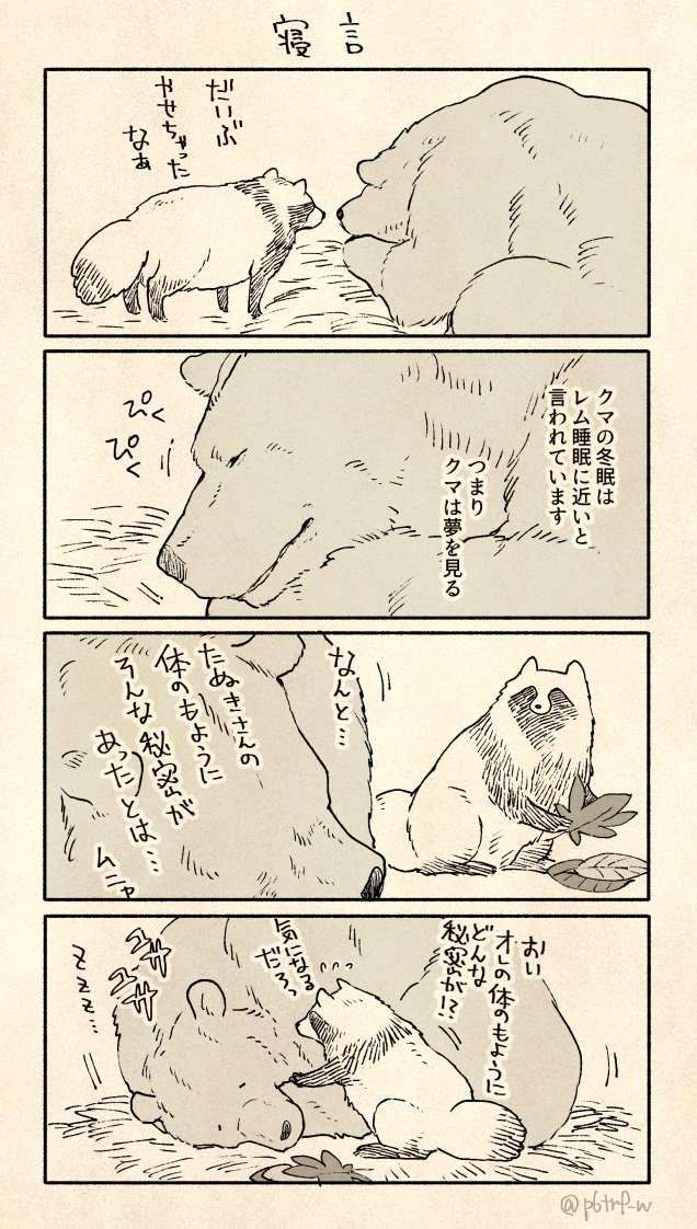 クマさん冬眠中 