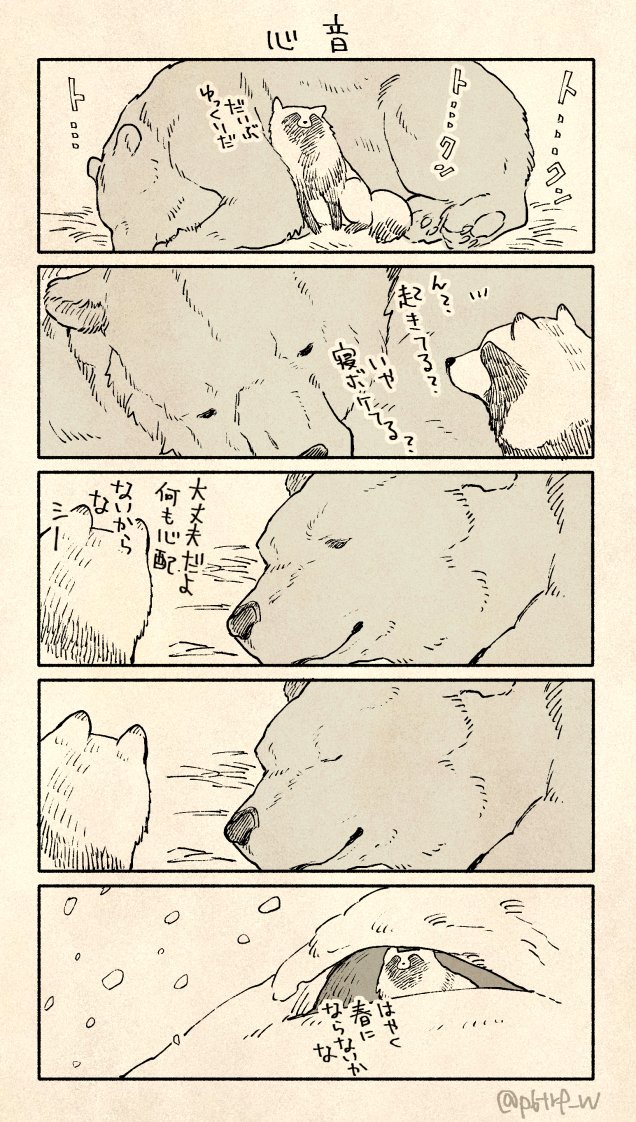 クマさん冬眠中 