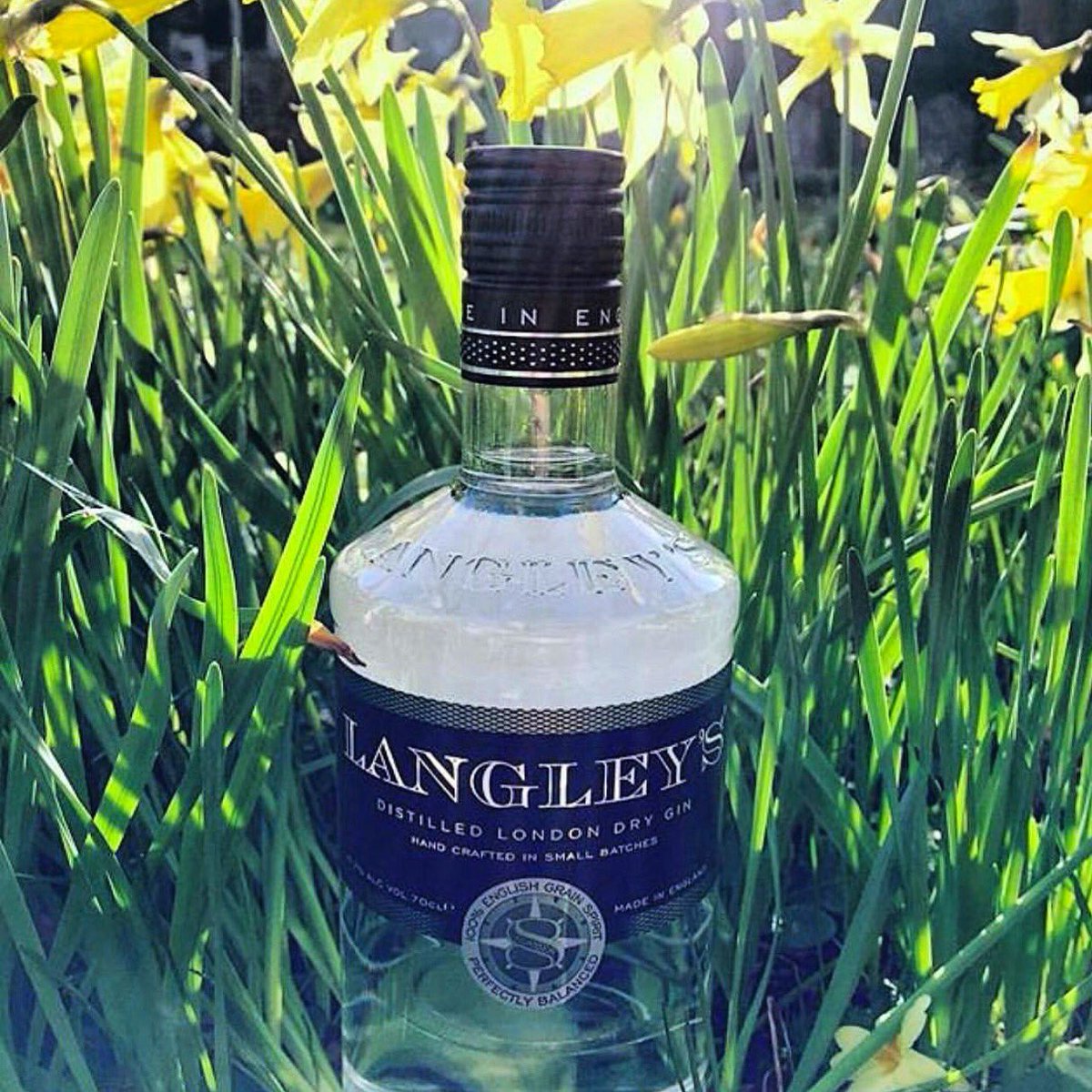 AlphaEventsBham's tweet image. A massive thank you to @LangleysGin for sponsoring our #MadHattersGinTasting event 🙌 You could be in the chance to #WIN this bottle of #LangleysGin in our raffle ♠️♥️