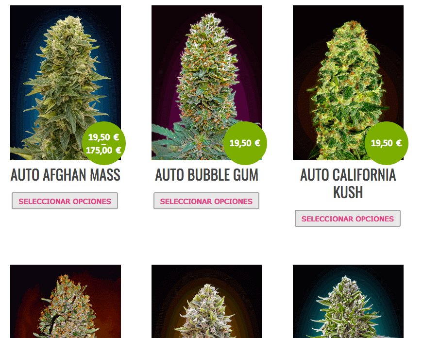 NaturaVice's tweet photo. Descubre la variedad de 00 Seed Bank, disfruta del descuento e introduce el cupón "25seeds" al finalizar tu compra! https://t.co/LtqZC2VCX1 https://t.co/6UBEzfe07w