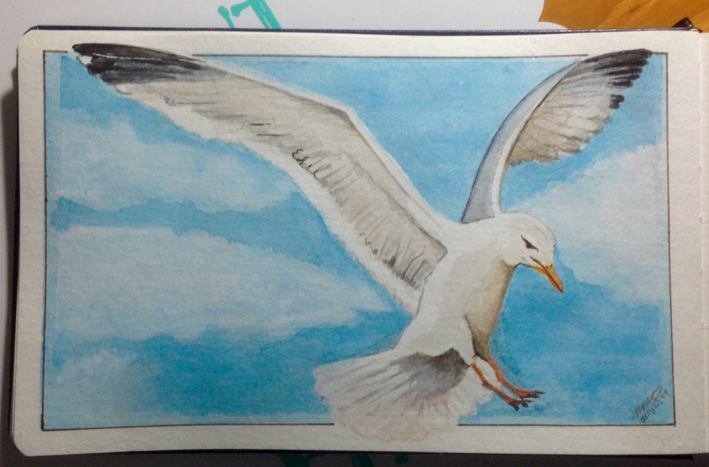 MargoMacRury's tweet photo. This #watercolour #seagul was painted with #schiminckehoradam in a #pentalicaquajournal #art #artjournal #painting #practice https://t.co/d9Po2QvdZh