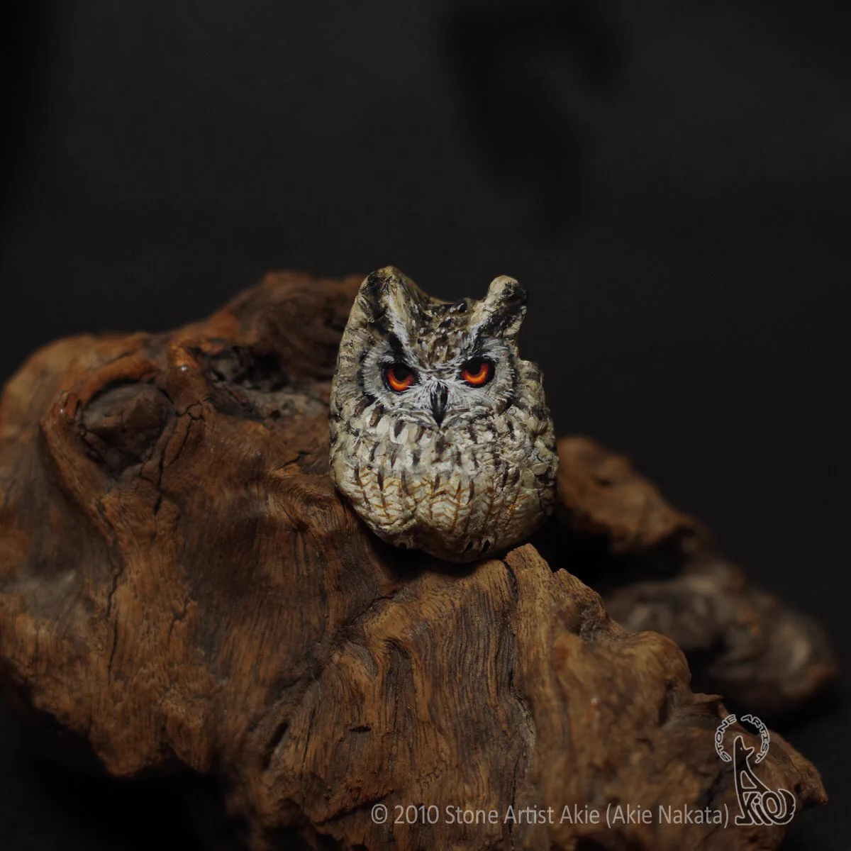 まるで本物みたい！プロが石に命を吹き込むと本物のフクロウに早変わり！