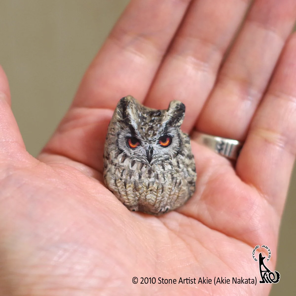 まるで本物みたい！プロが石に命を吹き込むと本物のフクロウに早変わり！