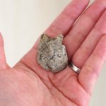 まるで本物みたい!プロが石に命を吹き込むと本物のフクロウに早変わり!