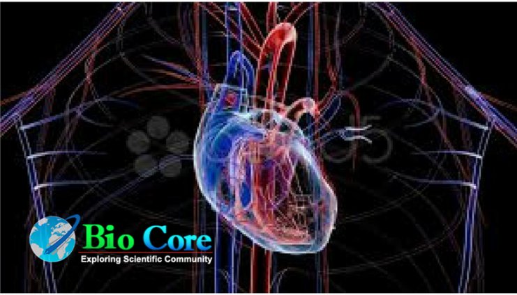 BiocoreIJCH's tweet photo. #Biocore_Group 
#Biocore_Open_Access_Journals
#IJCH
#Cardiology_Journal
Submitting Manuscript to Cardiology Journal is easy and fast. Follow the link https://t.co/DqvnzYDpCJ https://t.co/rz69ROFd0V