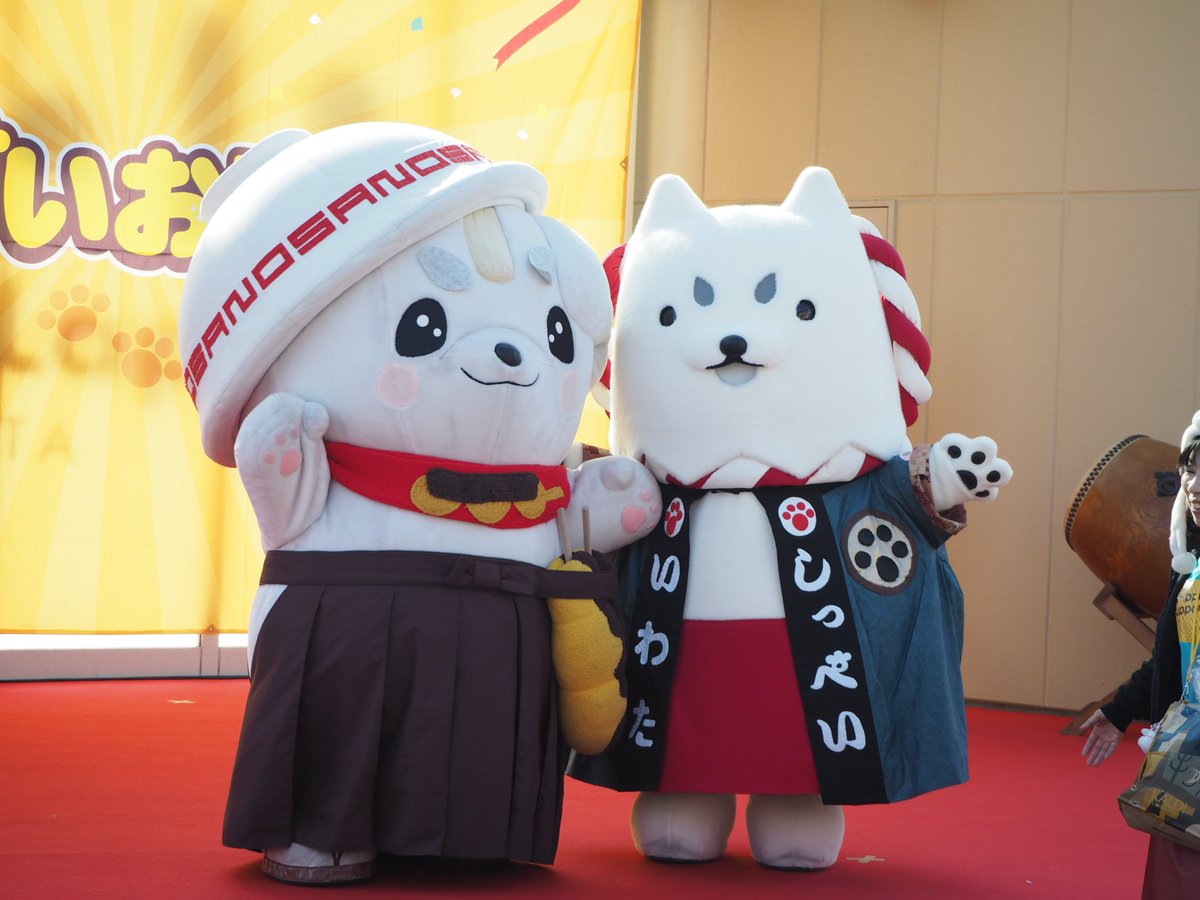 ノゾミ しっぺい さのまるの白いワンコ Y ﻌ コンビは 今回眉もお揃い そして 犬キャラトリオ 犬キャラは皆可愛くて 戌年の私は嬉しいよ W しっぺいお誕生会 しっぺい さのまる おけわんこ やはたいぬ