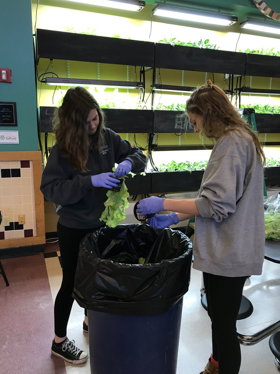 MsWellnessEdu's tweet photo. Harvesting day Take 1: The Szady sisters. @hw_environment https://t.co/2h8TDAGkxA