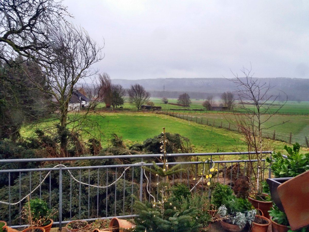 Rolf Schmittat tweet media