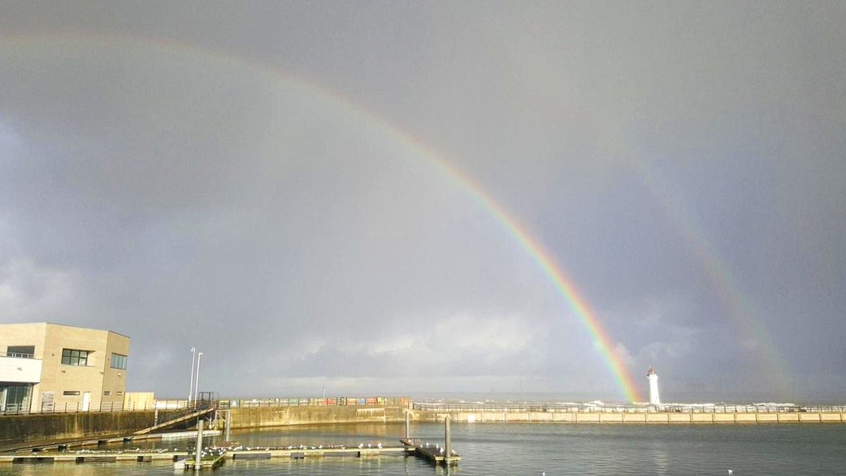 Caffe Cream NB tweet media