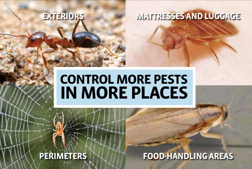 "With its extremely flexible label, Transport® Mikron™ delivers clear, consistent control of 30+ pests to more of your accounts than ever before." More on this week's product spotlight here: bit.ly/2CWfoWB @FMCpest