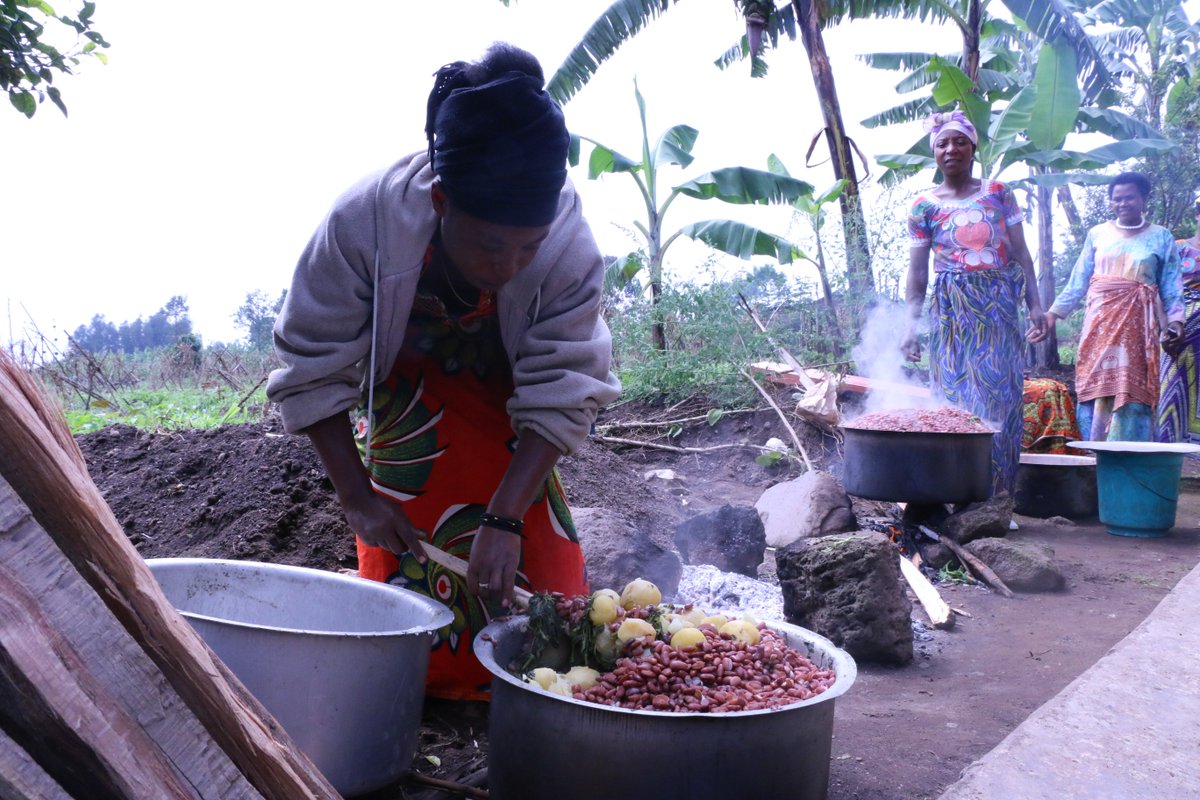 Consuming #biofortified iron beans reverse iron deficiency and improve cognitive abilities in iron deficient women ow.ly/LsEX30gvi6Q #EndHiddenHunger