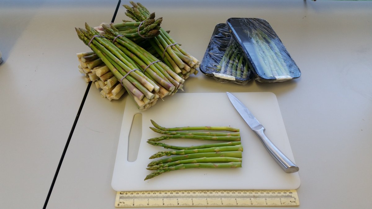 CranPostharvest's tweet photo. Green and white #asparagus can be grown from the same cultivar, the only difference is white asparagus is grown in the dark to prevent the development of #chlorophyll. We work on the extension of UK asparagus season!

@innovateuk @BBSRC @WyeValleyAsp https://t.co/4xDwn8xe3s