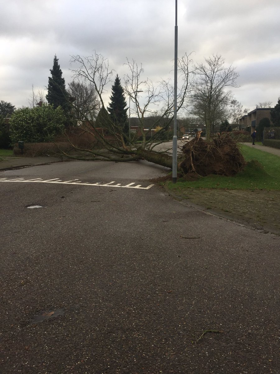 Dinxpertje's tweet photo. Op meerdere plekken liggen omgewaaide bomen in #Dinxperlo, dus let op! https://t.co/XsTrrfeIV7