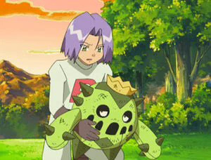 ポケモンのあの組織は悪い奴の集団じゃない？ロケット団を悪者扱いってやな感じー！ｗ