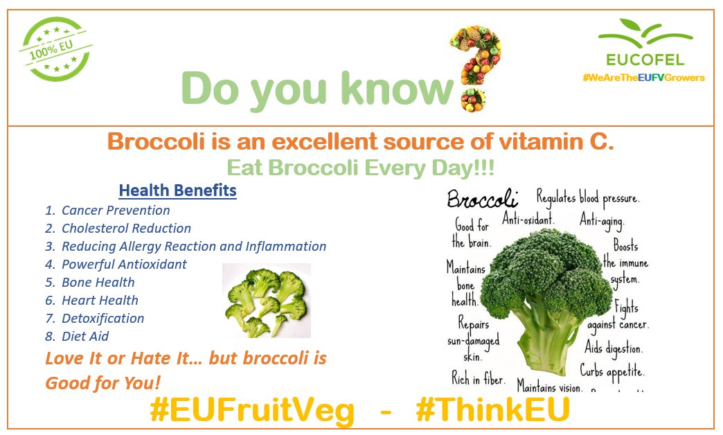 FruitvegEUROPE's tweet photo. @Doyouknow_EUFV : Media campaign to boost EU #Fruit & #Vegetable consumption!!
Do you know? Broccoli is an excellent source of vitamin C, cancer prevention, cholesterol reduction... etc.
"Love It or Hate It…but broccoli is Good for You!"
@masbrocoli
#EUFruitVeg #ThinkEU #EatEU https://t.co/jlnNwSvMe0