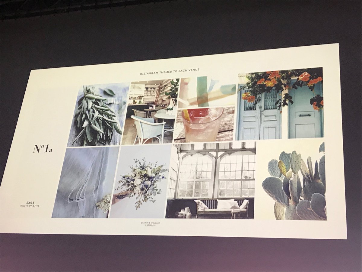 ByLizzyBarber's tweet photo. How have I never heard of Darwin &amp; Wallace? The Dream for marketing: colour themed Instagram accounts oh my! #rmi18 https://t.co/CTgQet9FeY